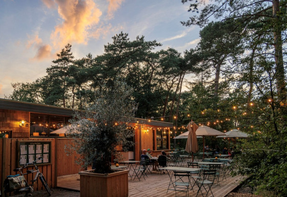 Udendørs caféområde i skovmiljø ved Camping Huttopia De Veluwe i Gelderland, Holland, med lyskæder og parasoller.