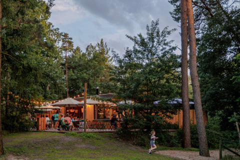 Udendørs restaurant med gæster og lyskæder omgivet af skov ved Camping Huttopia De Veluwe i Gelderland.