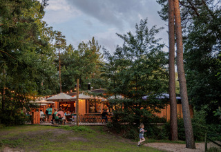 Buitenterras met lichtjes en gasten, midden in het groen bij Camping Huttopia De Veluwe in Gelderland.