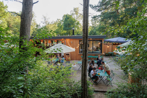 Camping Huttopia De Veluwe en Gelderland, Países Bajos, con mesas exteriores y ambiente rodeado de naturaleza.