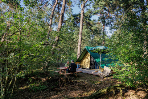 Persone accampate nei boschi vicino a un tavolo da picnic e una tenda a Camping Huttopia De Veluwe, Gelderland.