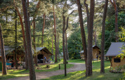 Campinghytter blandt høje fyrretræer på Camping Huttopia De Veluwe, et feriepark i Gelderland, Holland.