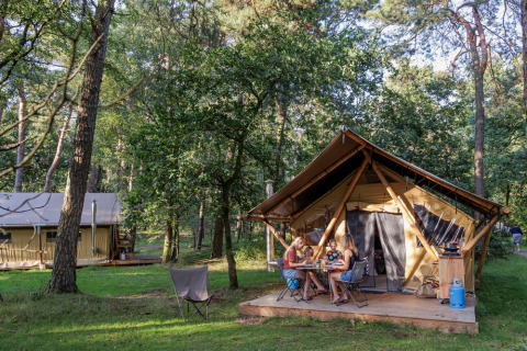 Familia disfruta de una comida frente a una tienda en el bosque en Camping Huttopia De Veluwe, Gelderland.
