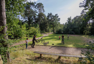 Gezinnen fietsen en spelen op een veld omringd door bos in Camping Huttopia De Veluwe, Nederland.