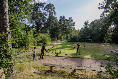 Familias disfrutan de una pradera rodeada de bosque, jugando y con bicicletas en Camping Huttopia De Veluwe.