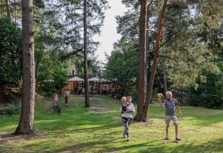Gezinnen beleven plezier buiten op Camping Huttopia De Veluwe, omringd door groen in Gelderland, Nederland.
