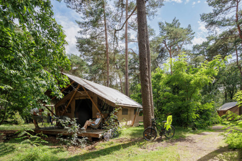 Cabaña de madera en Huttopia De Veluwe, Gelderland, Países Bajos, rodeada de bosque y ciclistas de vacaciones.