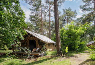 Cabane en bois au Camping Huttopia De Veluwe, Gelderland, Pays-Bas, entourée de forêt et de cyclistes.