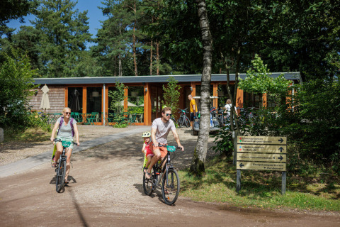 Familia paseando en bicicleta por Camping Huttopia De Veluwe, rodeados de naturaleza en Gelderland.