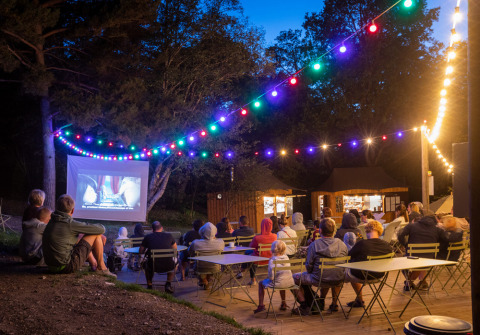 Noche de cine al aire libre con gente viendo una película bajo luces de colores en Camping Huttopia De Veluwe.