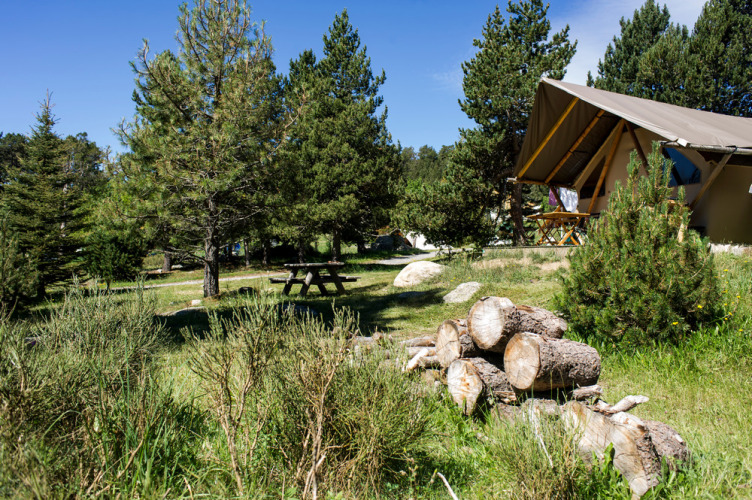 Safari-Zelt Canadienne Cosy auf dem Campingplatz Huttopia De Veluwe in den Niederlanden mit Holzstapel.
