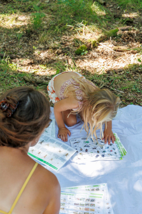 Bambina e adulta osservano schede sugli insetti a Huttopia De Roos, parco vacanze in Overijssel, Paesi Bassi.