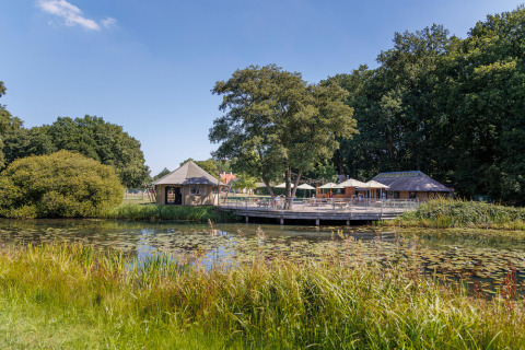 Parque vacacional Huttopia De Roos en Overijssel, Países Bajos, con terraza junto al lago y vegetación alrededor.