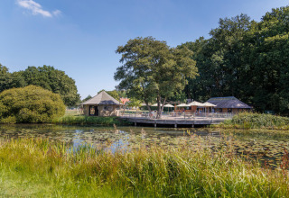 Vakantiepark Huttopia De Roos in Overijssel, Nederland, met terras aan de vijver, omringd door natuur.