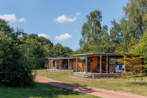 Bungalow in legno con veranda al parco vacanze Huttopia De Roos, immersi nella natura a Overijssel, Paesi Bassi.