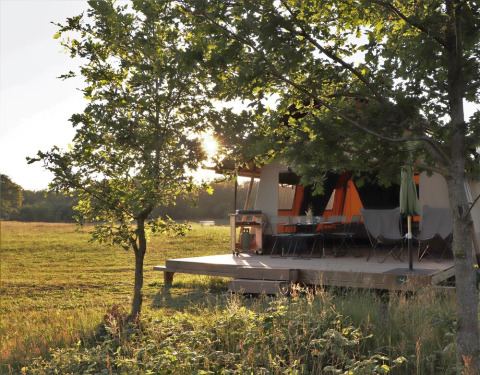 Tienda de glamping soleada entre árboles y césped en Huttopia De Roos, Overijssel, Países Bajos.