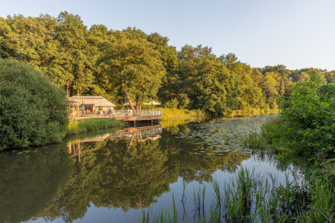 Idyllische Seeszene mit Bäumen und Holzgebäude im Ferienpark Huttopia De Roos, Overijssel, Niederlande.