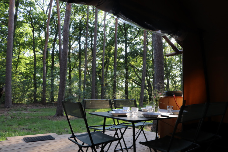 Comedor exterior en una terraza de madera del Classic Wood Tent en Huttopia De Roos, Países Bajos, vista al bosque.