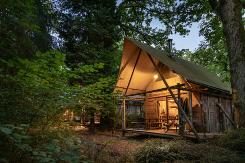 Tienda safari Cahutte iluminada en Huttopia De Roos, Países Bajos, rodeada de bosque al atardecer.
