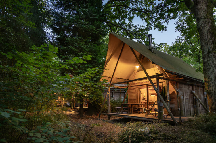 Tienda safari Cahutte iluminada en Huttopia De Roos, Países Bajos, rodeada de bosque al atardecer.
