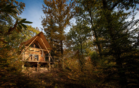 Tienda safari Cahutte en Huttopia De Roos, Países Bajos, rodeada de frondosos árboles y naturaleza.