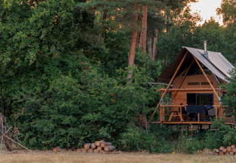 Tienda safari Cahutte en el bosque de Huttopia De Roos, Países Bajos, rodeada de vegetación.