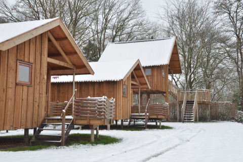 Cabane Ooievaarsnest à Camping de Koeksebelt aux Pays-Bas, couverte de neige et entourée d’arbres en hiver.