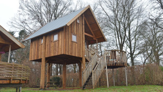 Treehouse named Ooievaarsnest with a wooden staircase and deck, surrounded by trees and green grass.