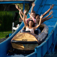 Four people ride a log flume with raised arms at a holiday park offering glamping accommodations.
