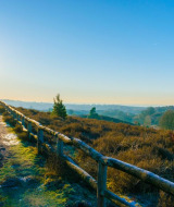Sonnenbeschienener Wanderweg im Grünen mit Blick auf Hügel und Bäume bei einem Glamping-Ferienpark.