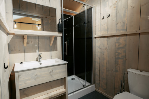 Badkamer met houten wanden, douche, toilet en wastafel in Cottage op Camping de Italiaanse Meren, Nederland.
