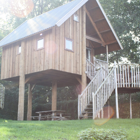 A wooden tree house on stilts with terrace and stairs, bathed in sunlight, at Camping de Koeksebelt, Netherlands.