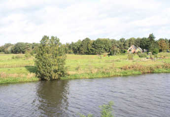 Blick auf den Fluss und das grüne Land beim Baumhaus Ooievaarsnest auf Camping de Koeksebelt, Niederlande.