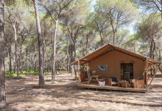 A cozy glamping tent in the woods at Huttopia Parque de Doñana holiday park in Andalusia, Spain.
