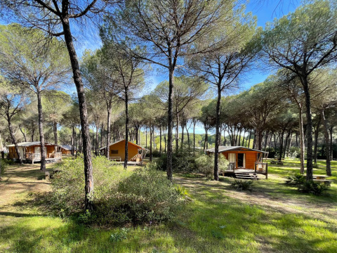 Cabañas de madera entre pinos en Huttopia Parque de Doñana, un parque de vacaciones en Andalucía, España.