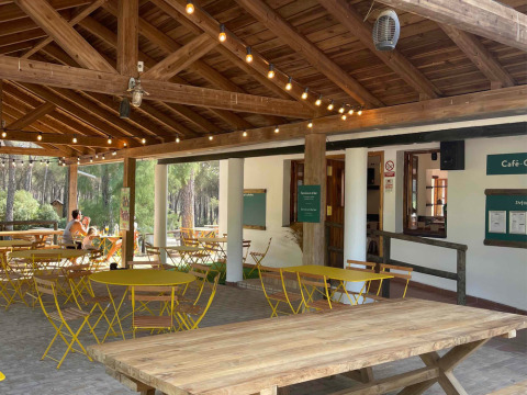 Espace café en plein air au Huttopia Parque de Doñana avec tables en bois, chaises jaunes et guirlandes lumineuses.