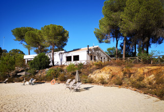 Spiaggia sabbiosa con lettini e ombrelloni davanti a pini e bungalow ad Huttopia Parque de Doñana, Andalusia.