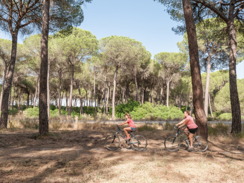 Due persone pedalano in una foresta soleggiata nel parco vacanze Huttopia Parque de Doñana in Andalusia, Spagna.