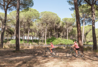 Twee personen fietsen door een zonnig bos in Huttopia Parque de Doñana, vakantiepark in Andalusië, Spanje.