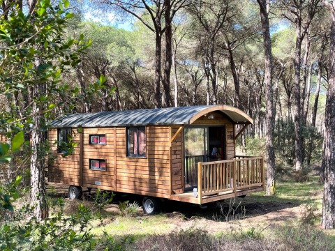 Casa mobile di legno nella foresta al Huttopia Parque de Doñana, un villaggio vacanze in Andalusia, Spagna.