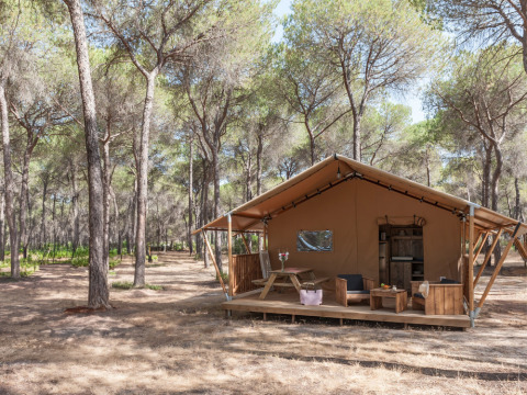 Et hyggeligt glamping-telt omgivet af fyrretræer i Huttopia Parque de Doñana, en feriepark i Andalusien, Spanien.