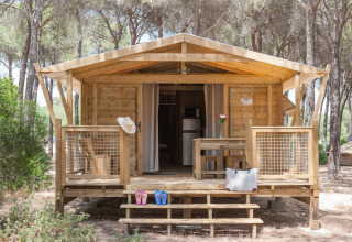 Houten hut in het Huttopia Parque de Doñana, Andalusië, Spanje, met veranda, decoratie en omgeven door bomen.