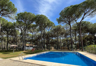 Buitenzwembad omringd door pijnbomen en blauwe lucht in Huttopia Parque de Doñana, een vakantiepark in Andalusië.