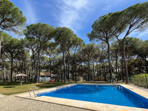 Buitenzwembad omringd door pijnbomen en blauwe lucht in Huttopia Parque de Doñana, een vakantiepark in Andalusië.