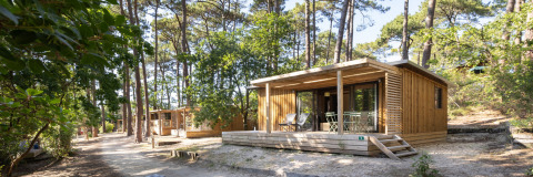 Cabañas de madera en Chalet Portland, Huttopia Parque de Doñana, España, rodeadas de altas pinos.