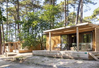 Houten chalets bij Chalet Portland, Huttopia Parque de Doñana, Spanje, omringd door hoge dennenbomen.