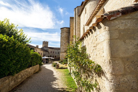 Camino soleado bordeado de muros de piedra medievales y vegetación cerca de Cazaubon, Occitania, Francia.