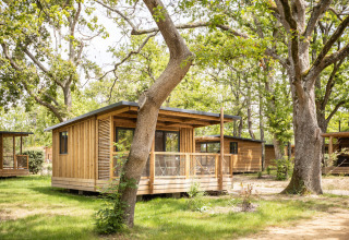 Wooden cabins set among trees at Huttopia Lac de l'Uby - Gers holiday park in Occitanie, France.