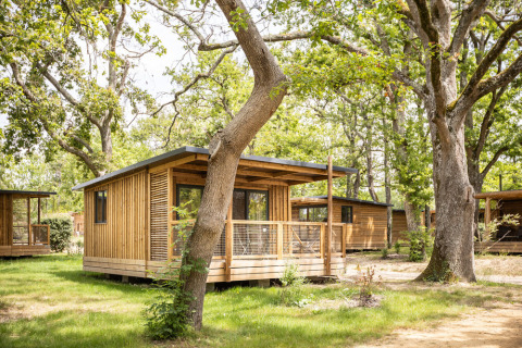 Cabañas de madera entre árboles en Huttopia Lac de l'Uby - Gers, un parque de vacaciones en Occitania, Francia.