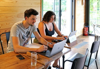 Dos jóvenes adultos trabajan en sus portátiles en Camping Valkenburg - Maastricht, parque vacacional en Limburgo.